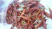 Dried Red Chillies - Sannam....