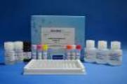 Nitroimidazole ELISA Test Kit
