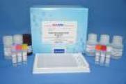 Cimaterol ELISA Test Kit