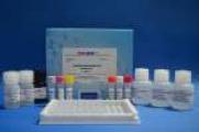 Terbutaline ELISA Test Kit